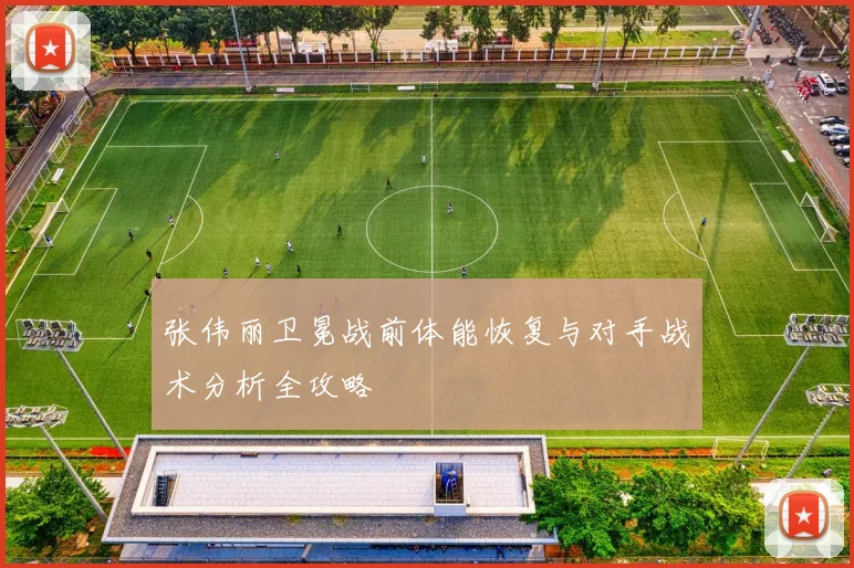 张伟丽卫冕战前体能恢复与对手战术分析全攻略
